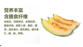 哈密的瓜怎么吃,解锁甜蜜滋味的新方式